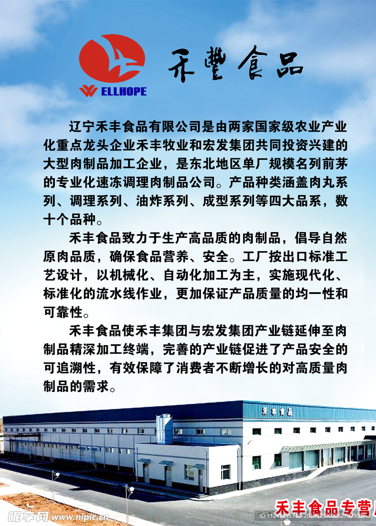 禾豐食品設(shè)計(jì)圖 自然之味與視覺創(chuàng)意的完美融合
